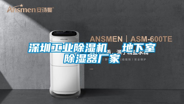 深圳工業(yè)除濕機(jī) 地下室除濕器廠家