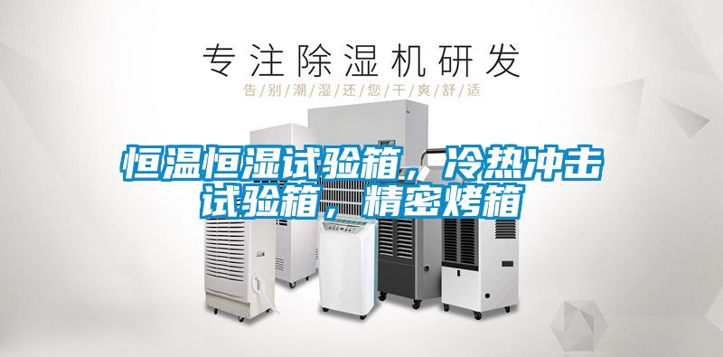 恒溫恒濕試驗(yàn)箱，冷熱沖擊試驗(yàn)箱，精密烤箱