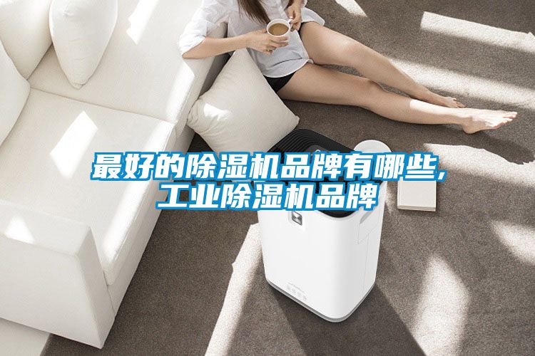 最好的除濕機品牌有哪些,工業除濕機品牌
