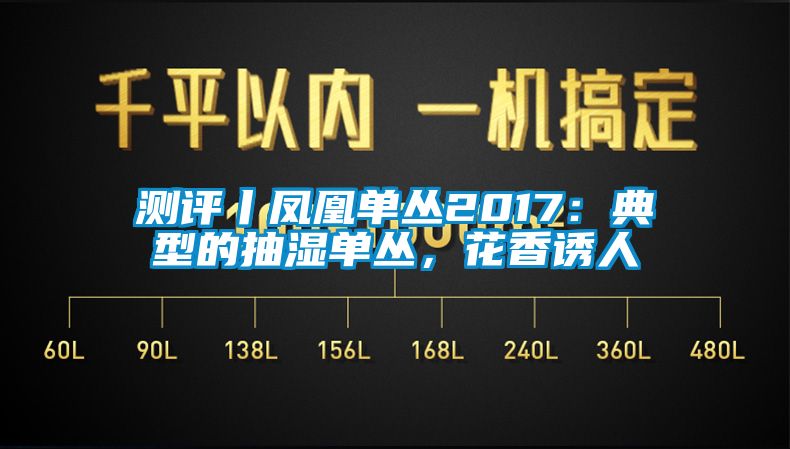 測評丨鳳凰單叢2017：典型的抽濕單叢，花香誘人