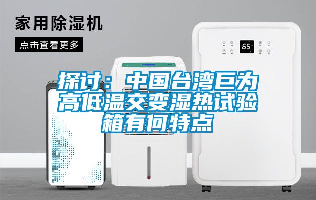 探討：中國臺灣巨為高低溫交變濕熱試驗(yàn)箱有何特點(diǎn)