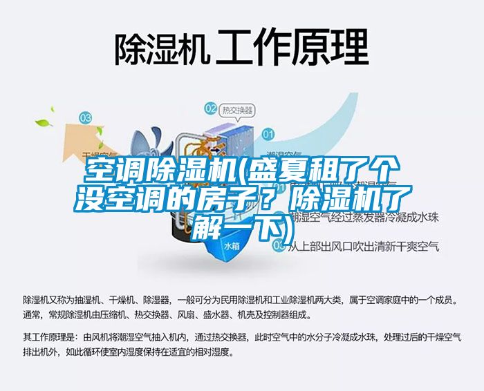 空調(diào)除濕機(jī)(盛夏租了個(gè)沒空調(diào)的房子？除濕機(jī)了解一下)