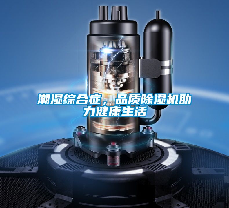 潮濕綜合癥，品質除濕機助力健康生活