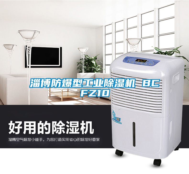 淄博防爆型工業除濕機 BCFZ10