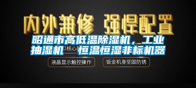 昭通市高低溫除濕機，工業抽濕機  恒溫恒濕非標機器