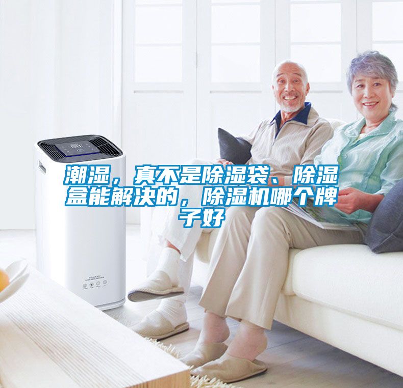 潮濕，真不是除濕袋、除濕盒能解決的，除濕機哪個牌子好