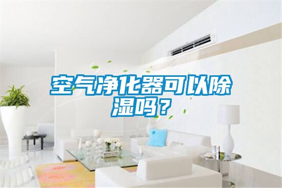 空氣凈化器可以除濕嗎？