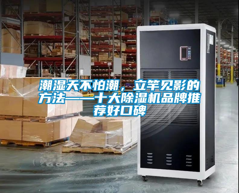 潮濕天不怕潮，立竿見影的方法——十大除濕機品牌推薦好口碑