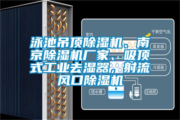 泳池吊頂除濕機、南京除濕機廠家、吸頂式工業去濕器，射流風口除濕機