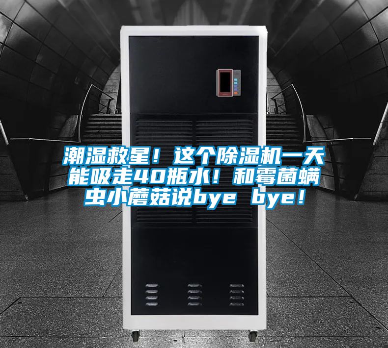 潮濕救星!這個除濕機一天能吸走40瓶水!和霉菌螨蟲小蘑菇說bye bye!