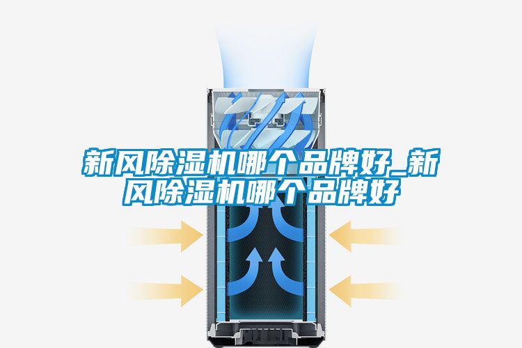 新風(fēng)除濕機(jī)哪個品牌好_新風(fēng)除濕機(jī)哪個品牌好
