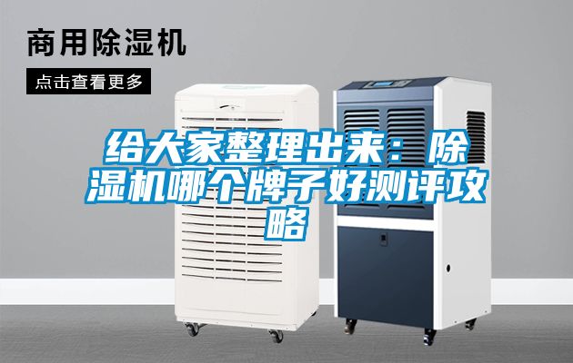 給大家整理出來：除濕機(jī)哪個(gè)牌子好測(cè)評(píng)攻略