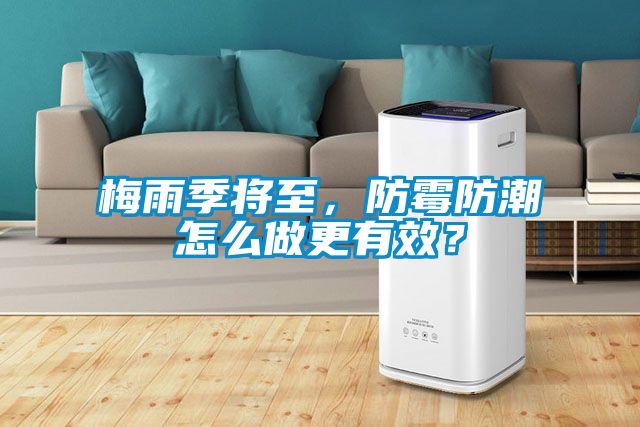梅雨季將至，防霉防潮怎么做更有效？