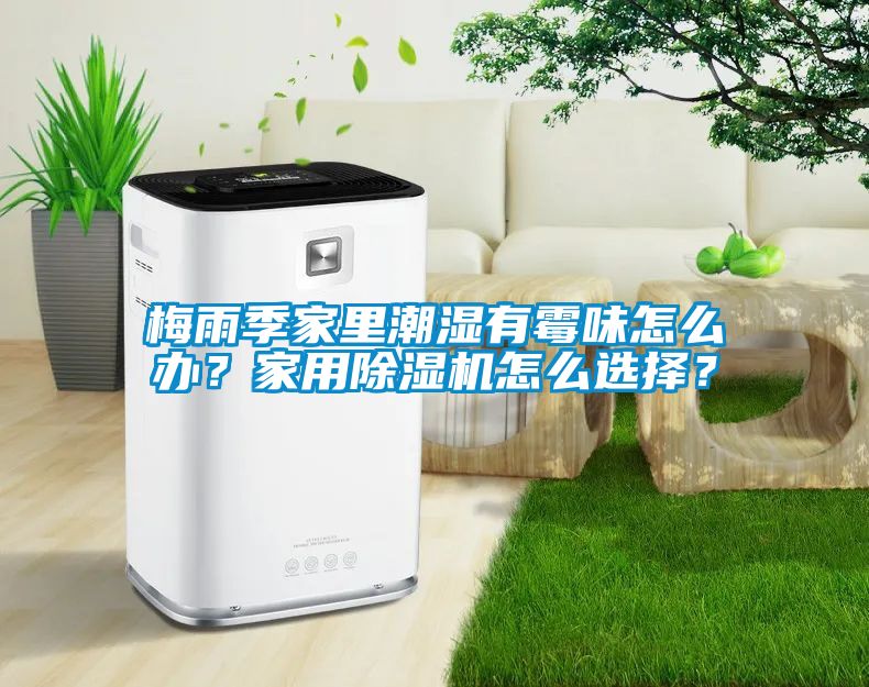 梅雨季家里潮濕有霉味怎么辦？家用除濕機怎么選擇？