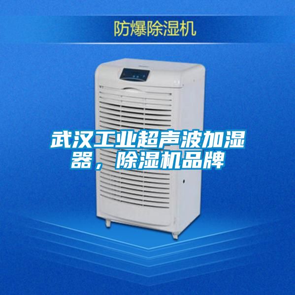 武漢工業(yè)超聲波加濕器，除濕機品牌