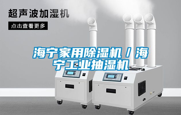 海寧家用除濕機／海寧工業(yè)抽濕機