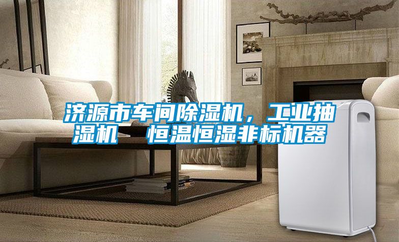 濟源市車間除濕機，工業(yè)抽濕機  恒溫恒濕非標(biāo)機器