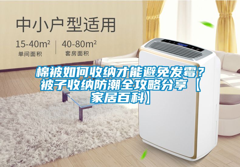 棉被如何收納才能避免發霉？被子收納防潮全攻略分享【家居百科】