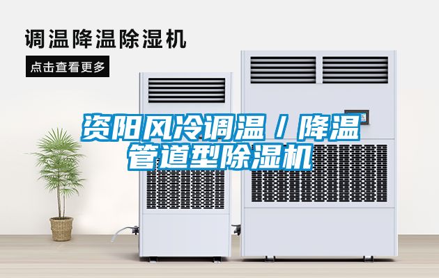 資陽風冷調溫/降溫管道型除濕機