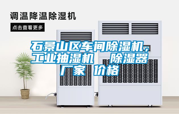 石景山區(qū)車(chē)間除濕機(jī)，工業(yè)抽濕機(jī)  除濕器廠家 價(jià)格