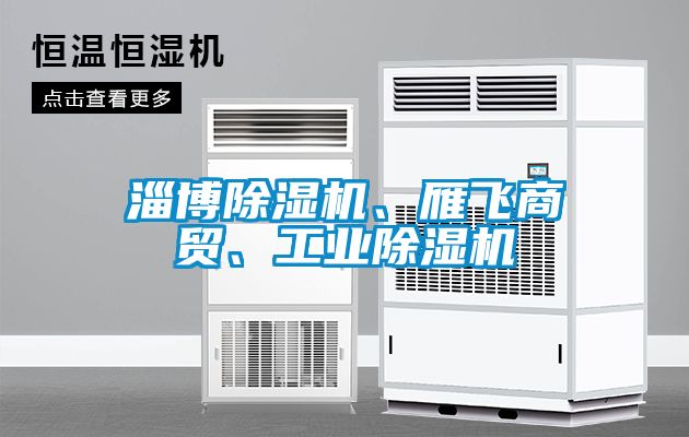 淄博除濕機、雁飛商貿、工業除濕機
