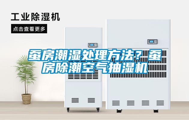 蠶房潮濕處理方法？蠶房除潮空氣抽濕機