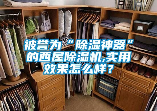 被譽為“除濕神器”的西屋除濕機,實用效果怎么樣？