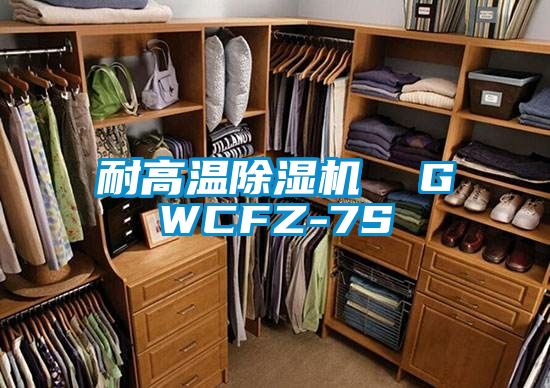 耐高溫除濕機(jī) GWCFZ-7S