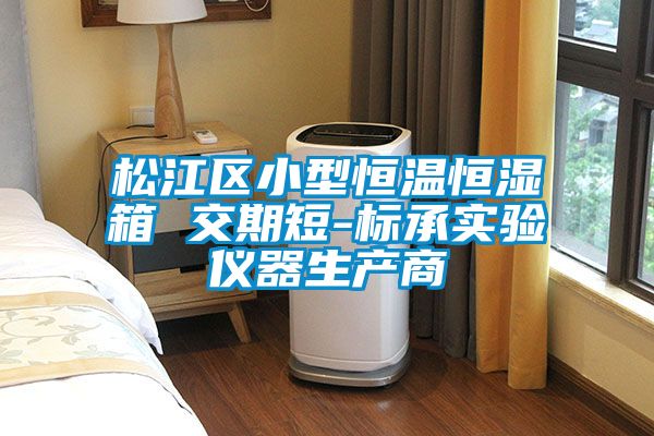 松江區小型恒溫恒濕箱 交期短-標承實驗儀器生產商