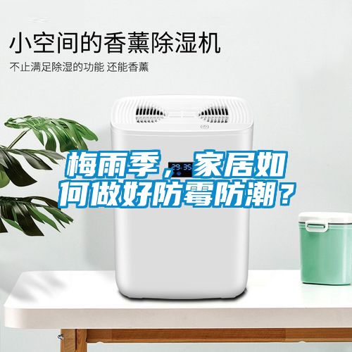 梅雨季，家居如何做好防霉防潮？