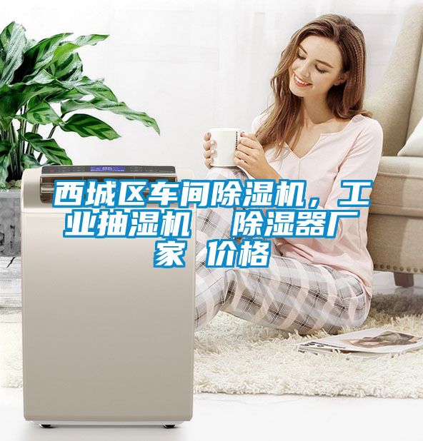 西城區(qū)車間除濕機，工業(yè)抽濕機  除濕器廠家 價格
