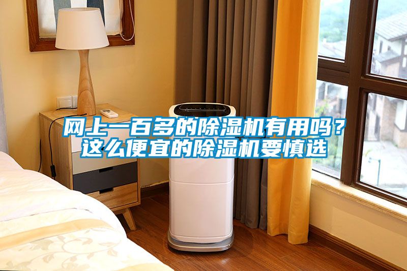 網上一百多的除濕機有用嗎？這么便宜的除濕機要慎選