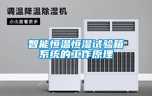 智能恒溫恒濕試驗箱系統的工作原理