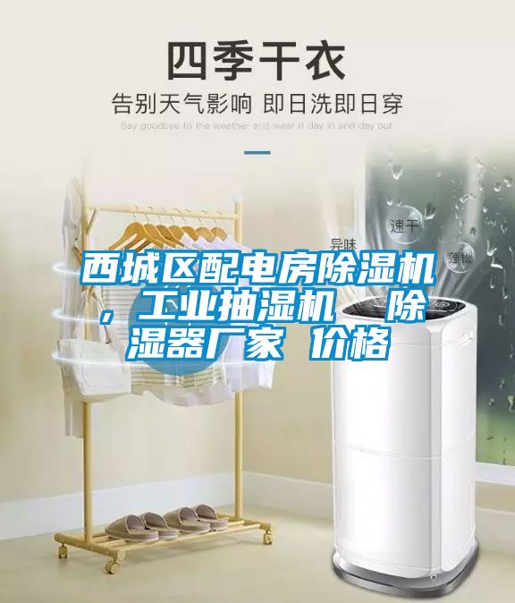西城區(qū)配電房除濕機(jī)，工業(yè)抽濕機(jī)  除濕器廠家 價格