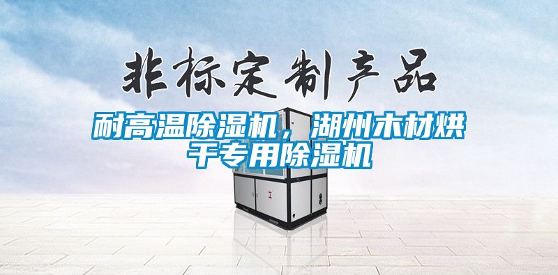 耐高溫除濕機，湖州木材烘干專用除濕機