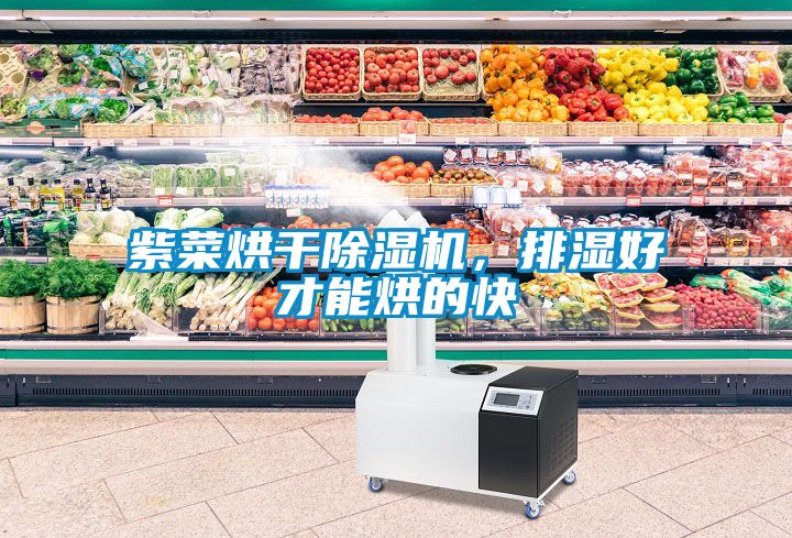 紫菜烘干除濕機，排濕好才能烘的快