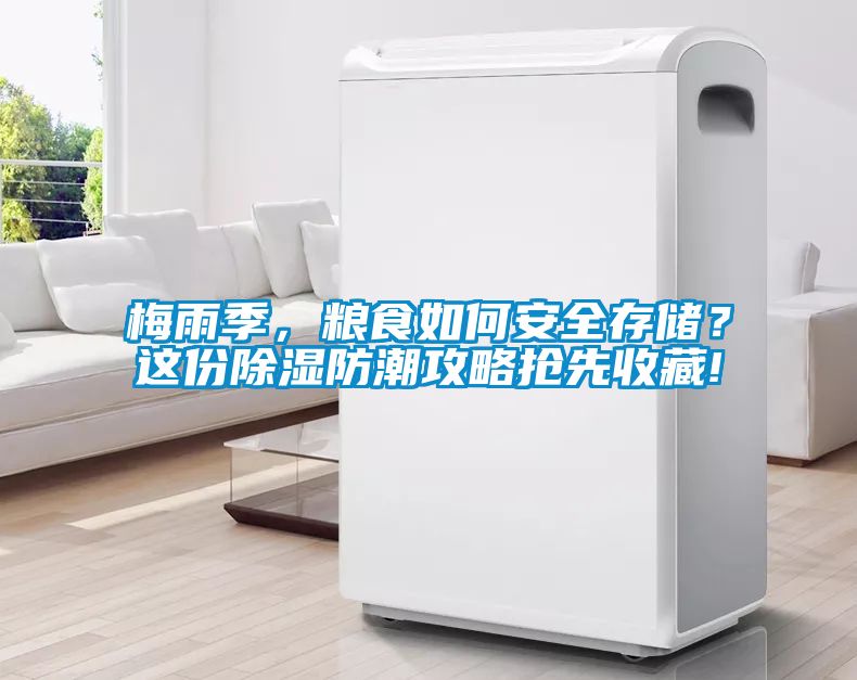 梅雨季，糧食如何安全存儲(chǔ)？這份除濕防潮攻略搶先收藏!
