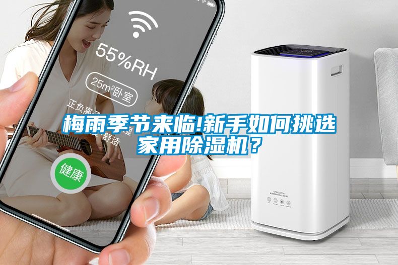 梅雨季節來臨!新手如何挑選家用除濕機？