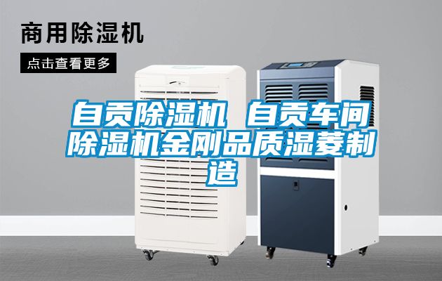 自貢除濕機 自貢車間除濕機金剛品質濕菱制造
