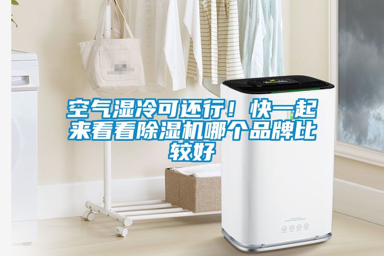 空氣濕冷可還行！快一起來看看除濕機哪個品牌比較好