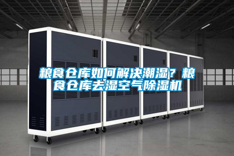 糧食倉庫如何解決潮濕?糧食倉庫去濕空氣除濕機