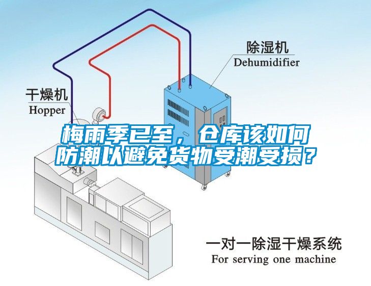 梅雨季已至，倉庫該如何防潮以避免貨物受潮受損？