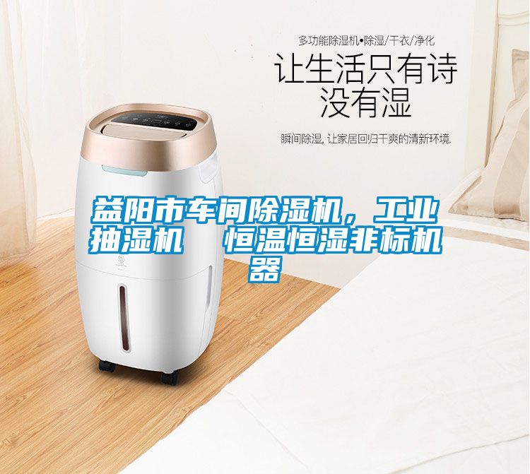 益陽市車間除濕機，工業抽濕機  恒溫恒濕非標機器