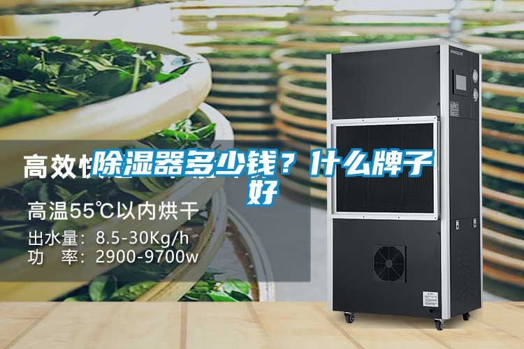 除濕器多少錢？什么牌子好