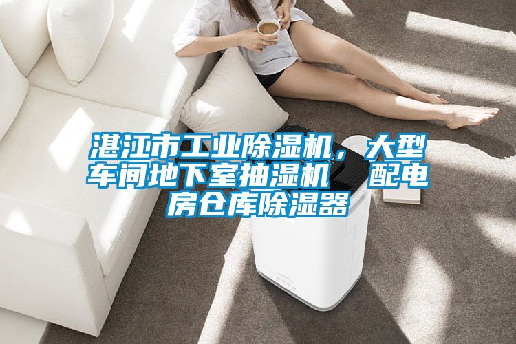 湛江市工業(yè)除濕機(jī)，大型車(chē)間地下室抽濕機(jī)  配電房倉(cāng)庫(kù)除濕器
