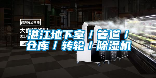 湛江地下室/管道/倉庫/轉(zhuǎn)輪/除濕機