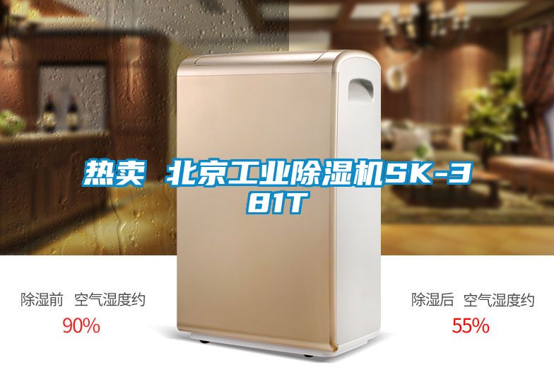熱賣 北京工業除濕機SK-381T