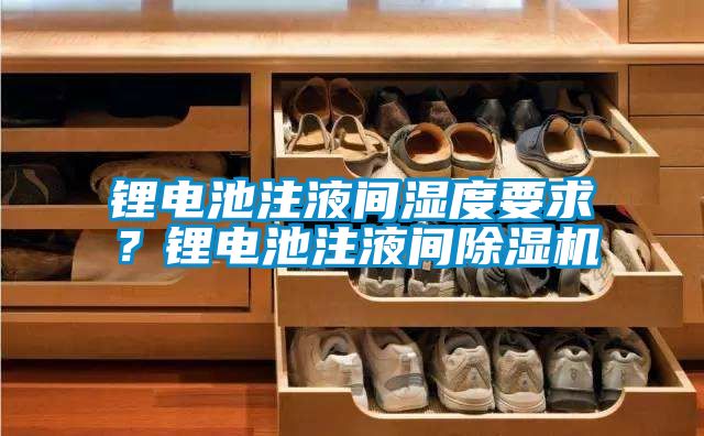 鋰電池注液間濕度要求？鋰電池注液間除濕機
