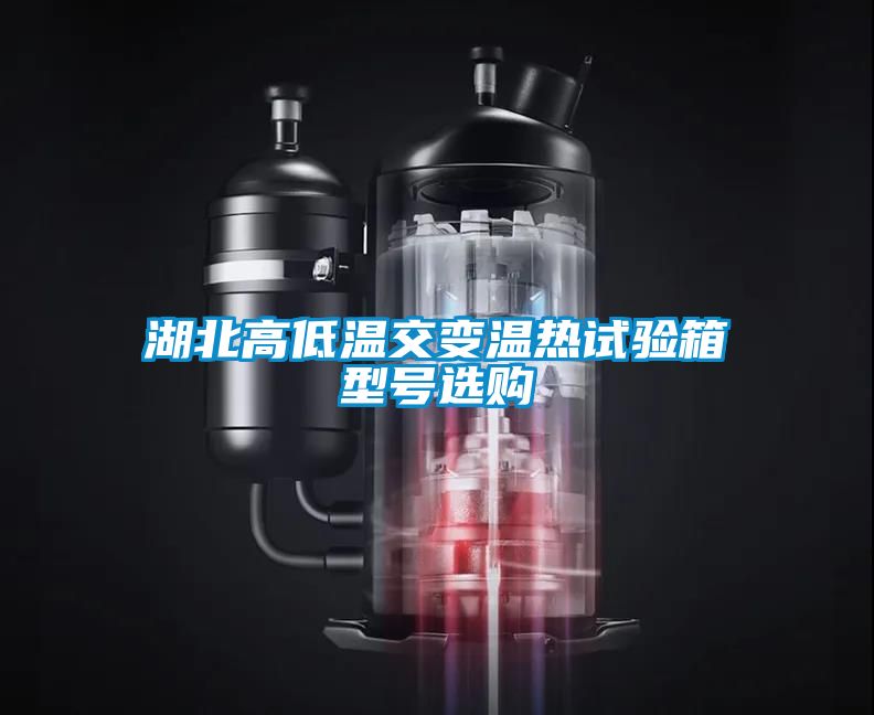 湖北高低溫交變溫?zé)嵩囼?yàn)箱型號(hào)選購