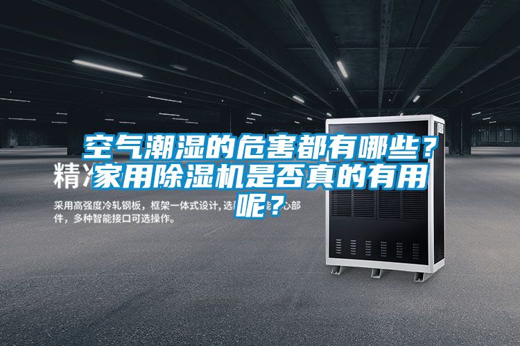 空氣潮濕的危害都有哪些？家用除濕機是否真的有用呢？